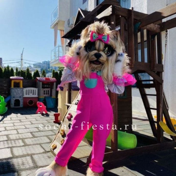 Аниматор Гламурная Собака в Казани