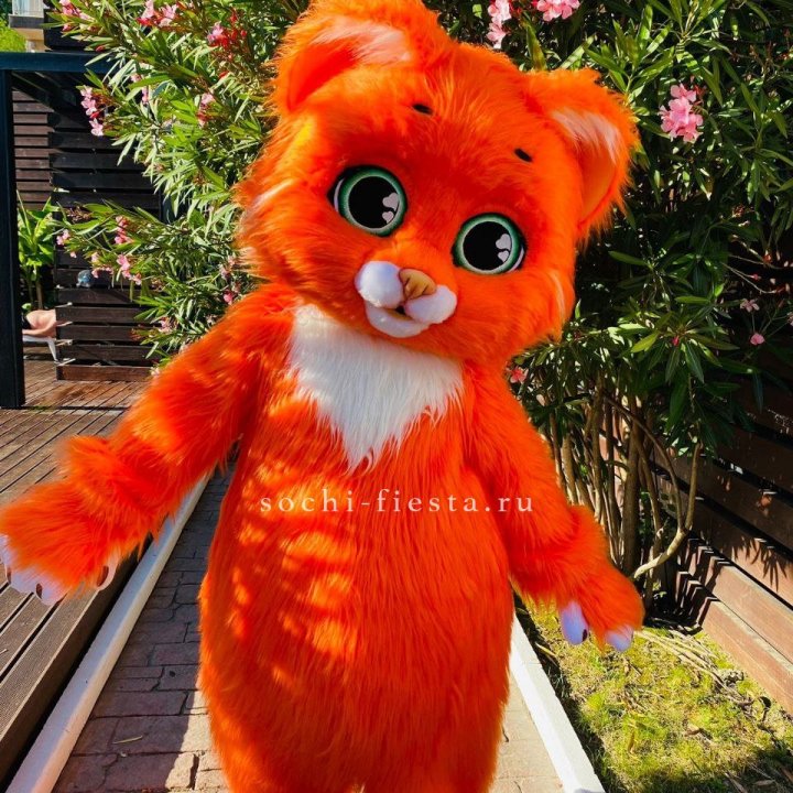 Аниматор Котик в Казани