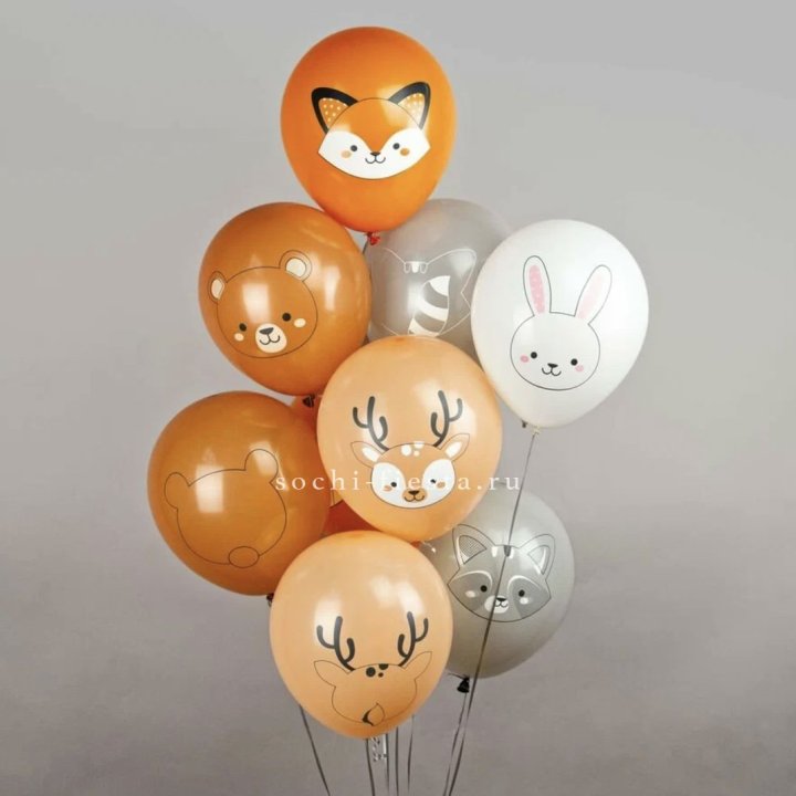 Воздушный шар "Животные" в Казани