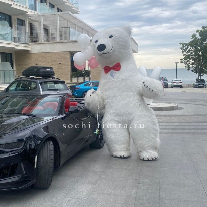 Аниматор Белый Медведь в Казани