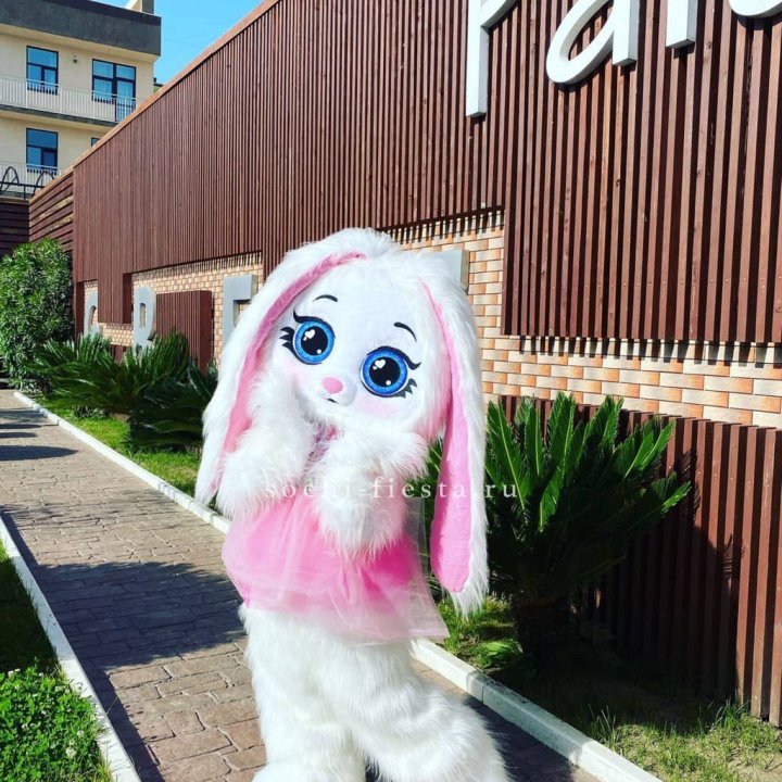 Аниматор Зайка в Казани