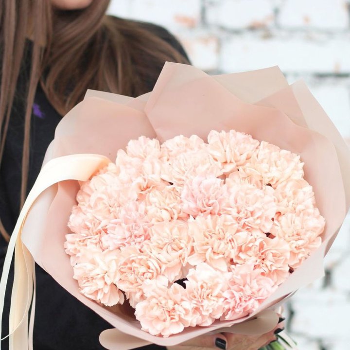 Диантусы №2 в Казани