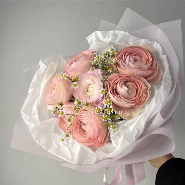 Ранункулюсы с ромашками в Казани