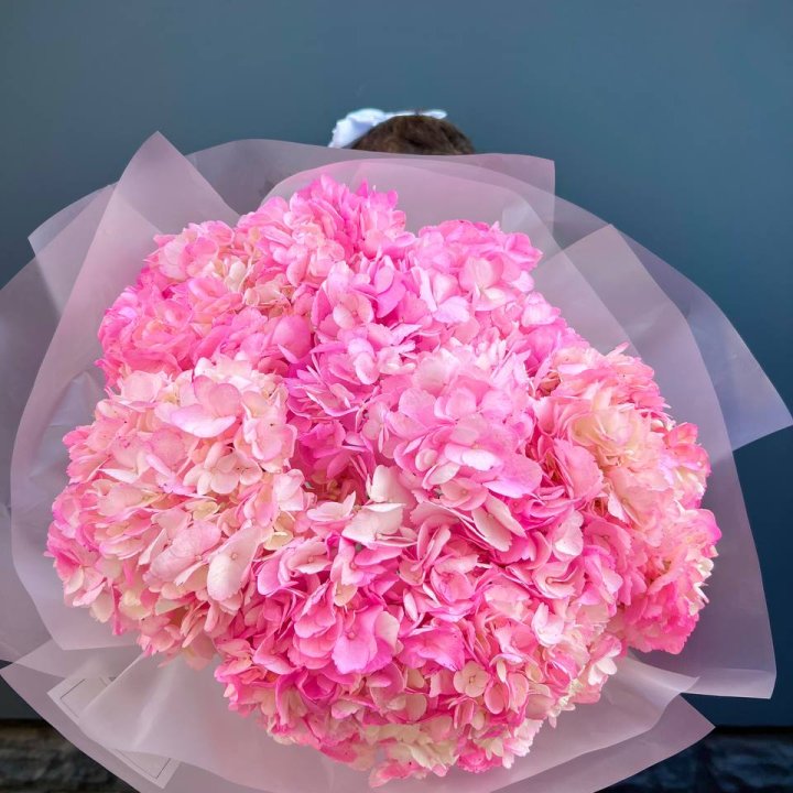 9 ярко розовых гортензий в Казани