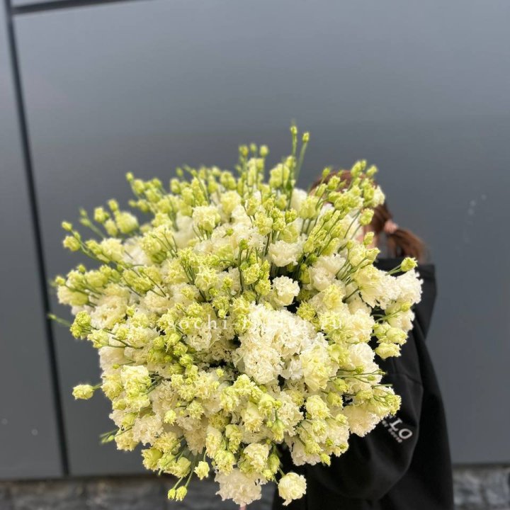 51 белая эустома в Казани