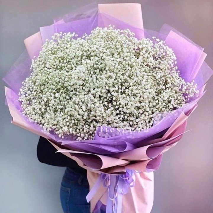 Облако белых гипсофил в Казани