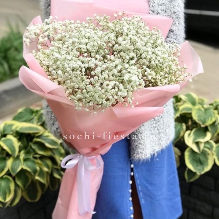 Белоснежные гипсофилы в Казани