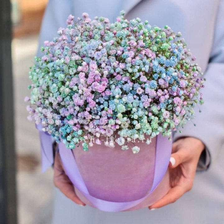 Гипсофилы в шляпной коробке "Кандилайт" в Казани