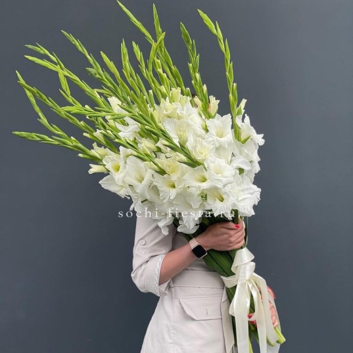 19 белых гладиолусов под ленту в Казани