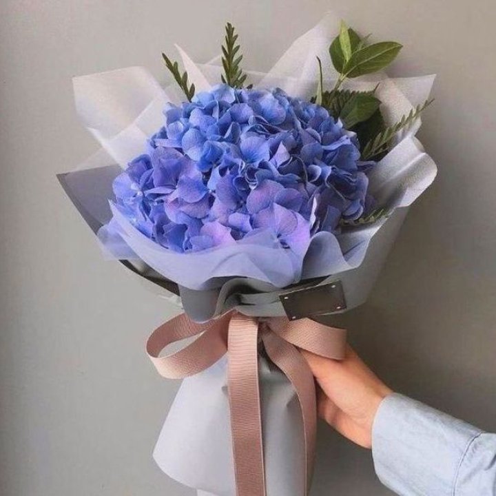 Гортензия голубая в Казани