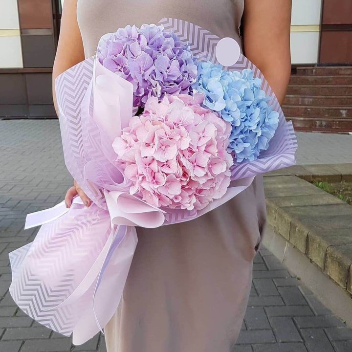 Букет гортензий "Пуф" в Казани