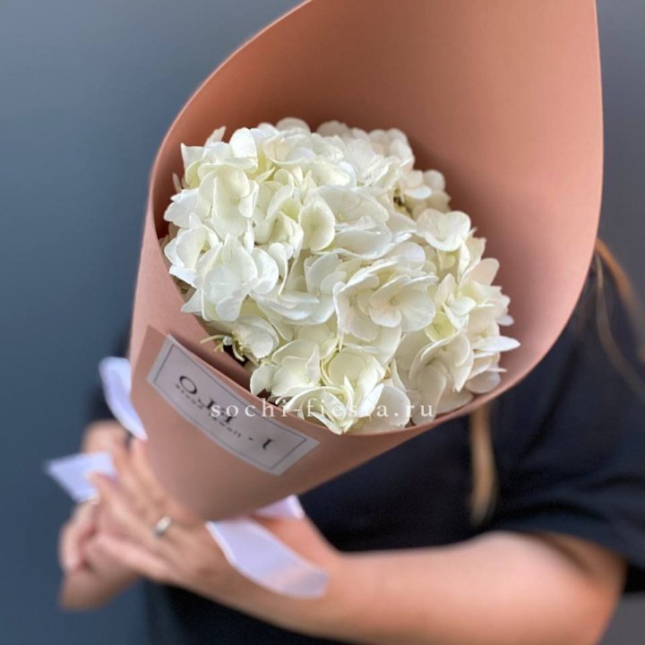 Гортензия в конверте в Казани