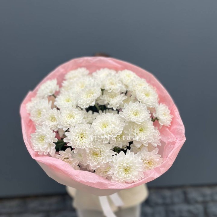  5 хризантем  в Казани