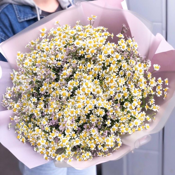 Букет ромашек №1 в Казани