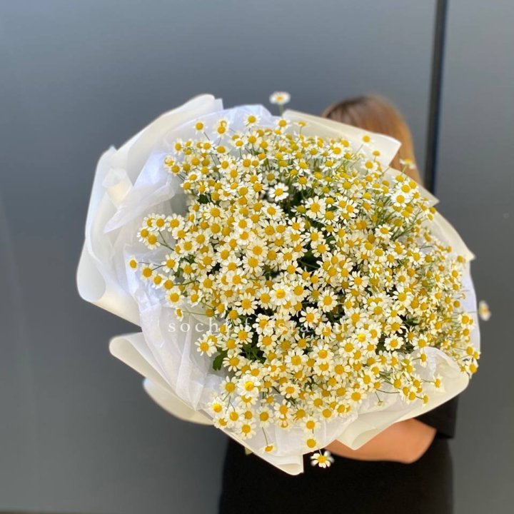 Букет ромашек "Фемели" в Казани