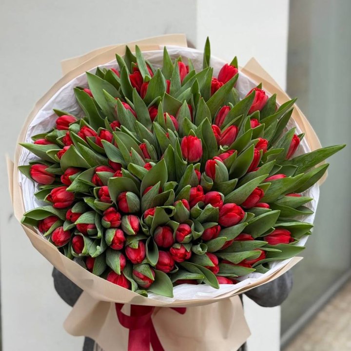 101 красный тюльпан в Казани