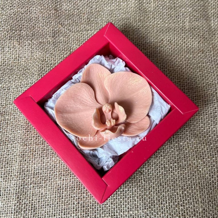 Бельгийский шоколад Орхидея в Казани