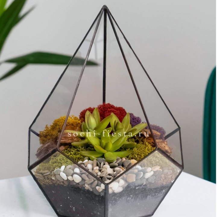 Флорариум Капля с суккулентом в Казани