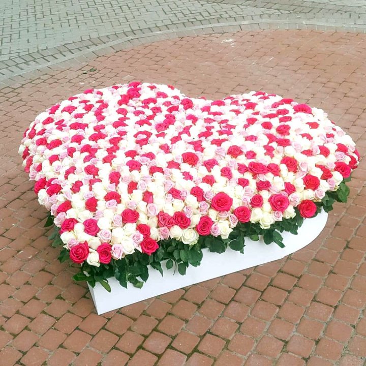 555 роза  в Казани