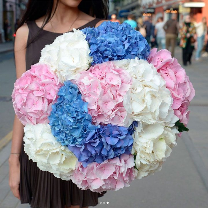 Букет гортензий "Инь-Янь" в Казани