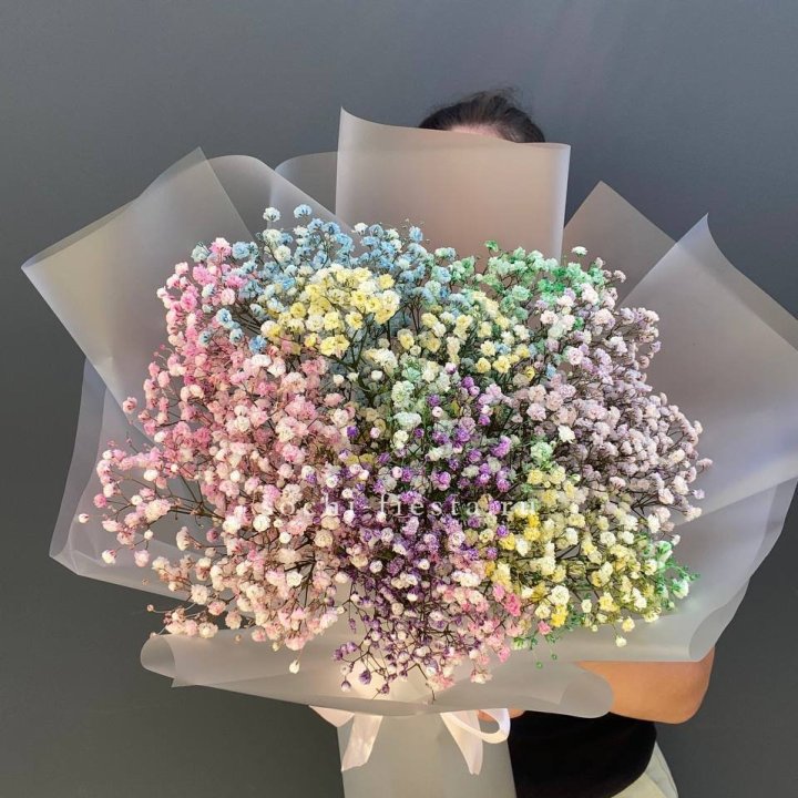 Радужные гипсофилы  в Казани