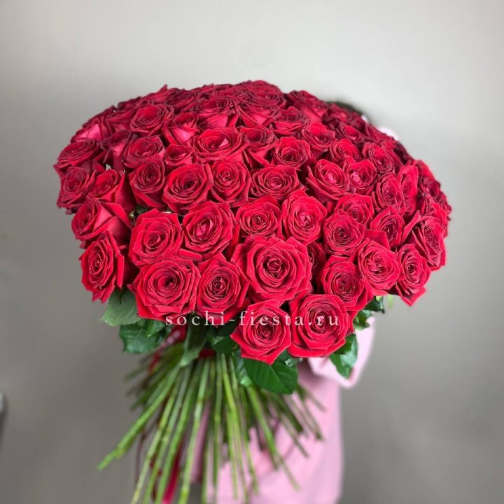 101  голландская роза  в Казани