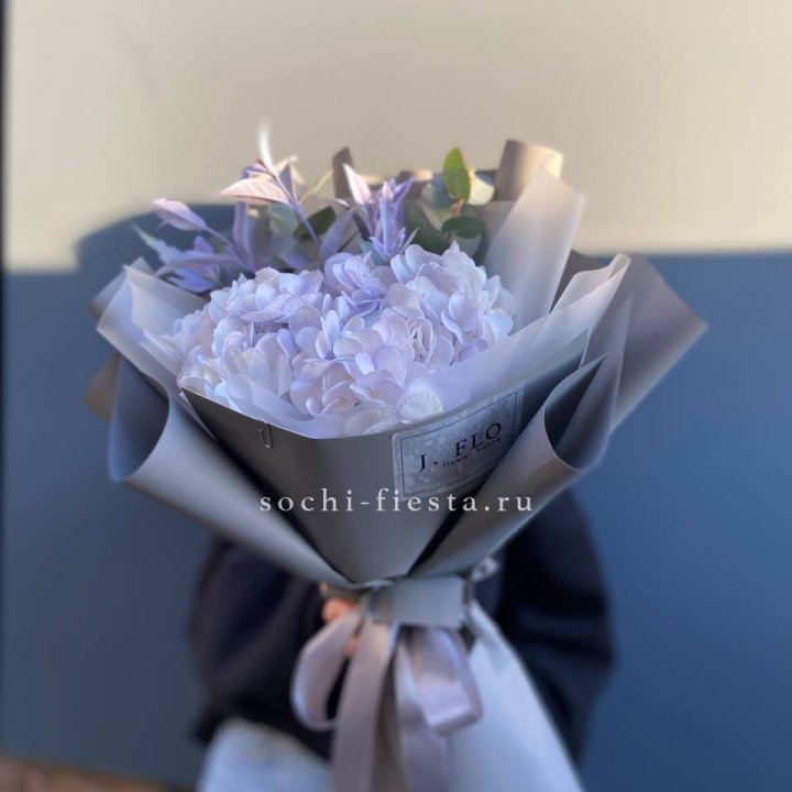Гортензия "Виолета" в Казани