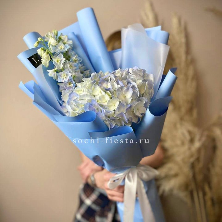 Гортензия "Блю скай" в Казани