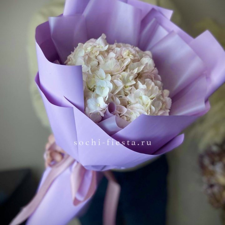 Гортензия розовая в Казани