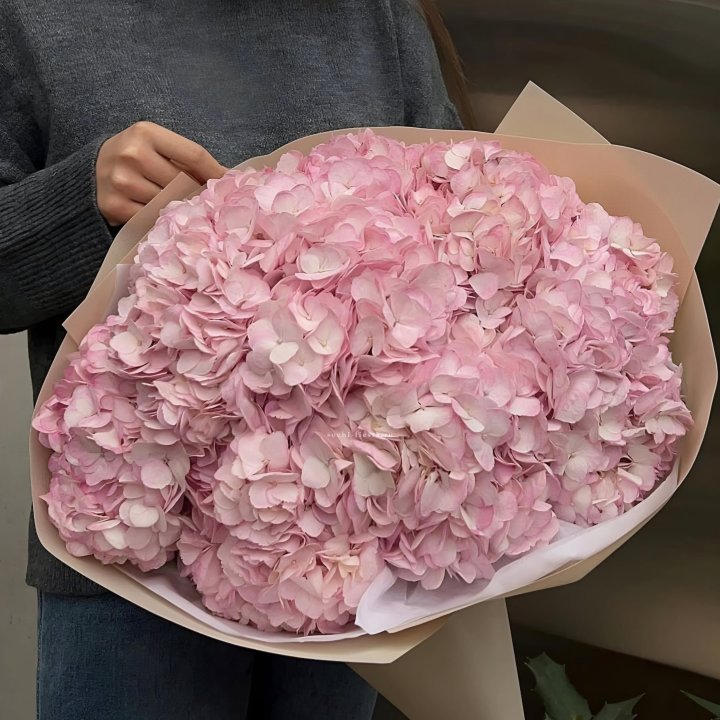 Гортензия  "РОЗЕ" в Казани