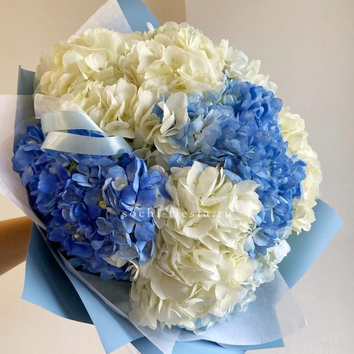 Букет гортензий "Голубая лаза" в Казани