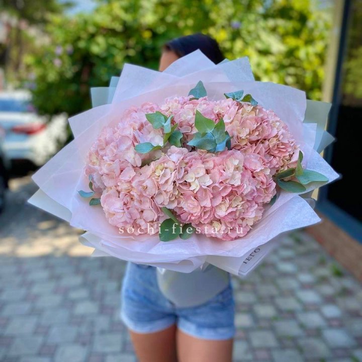 5 розовых гортензий  в Казани