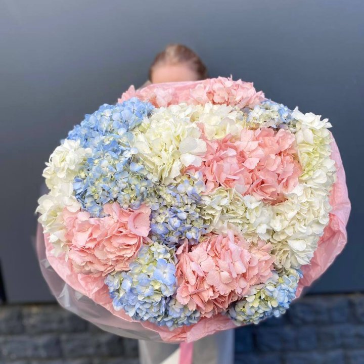 19 гортензий микс в Казани