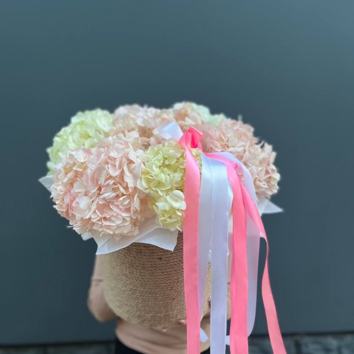 7 гортензий в кашпо в Казани