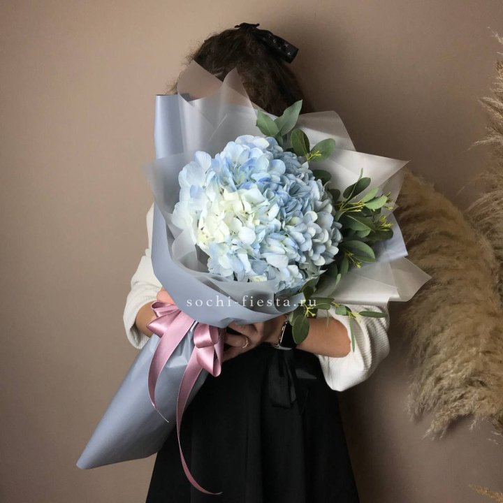 Гортензия Уно в Казани