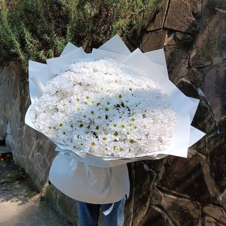 Облако хризантем №2 в Казани