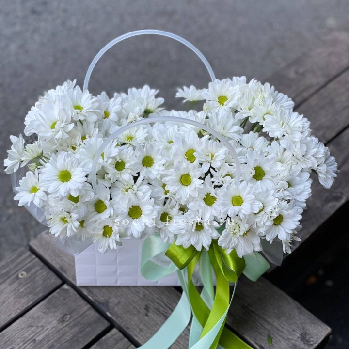 Сумка с хризантемами ромашками в Казани