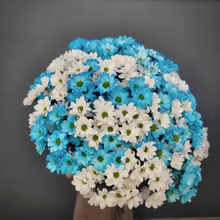  Букет хризантем микс в Казани