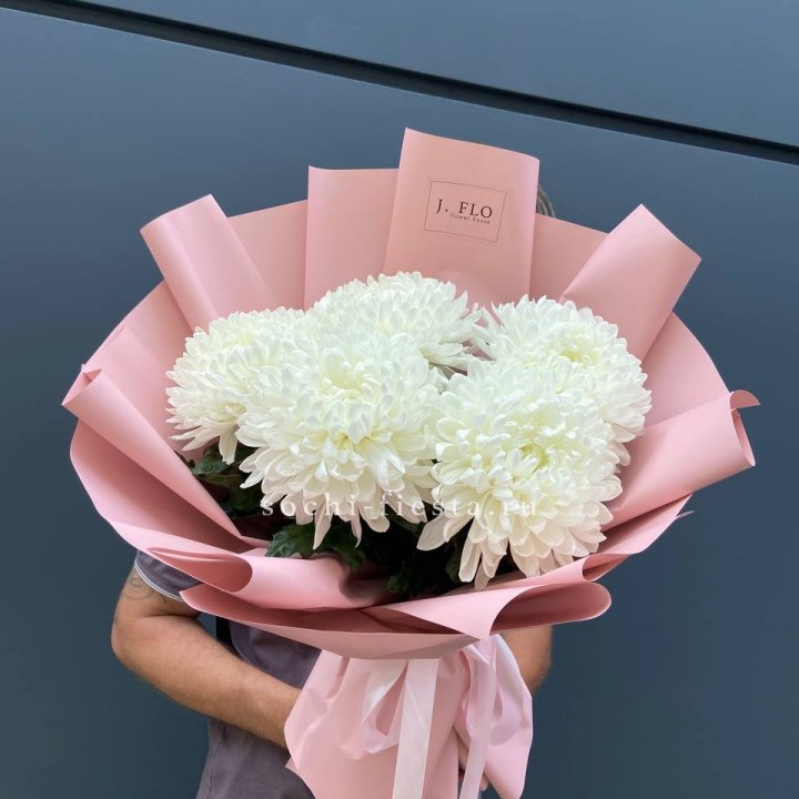 Профитроли №2 в Казани