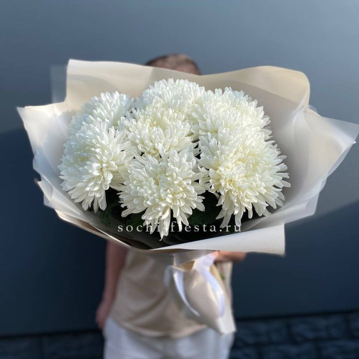 Профитроли в Казани