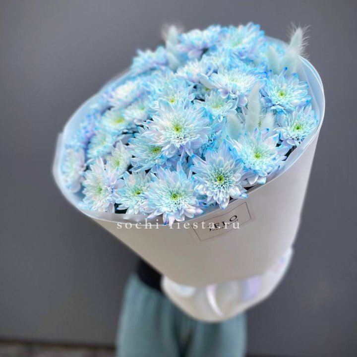  Букет нежно-голубых хризантем  в Казани