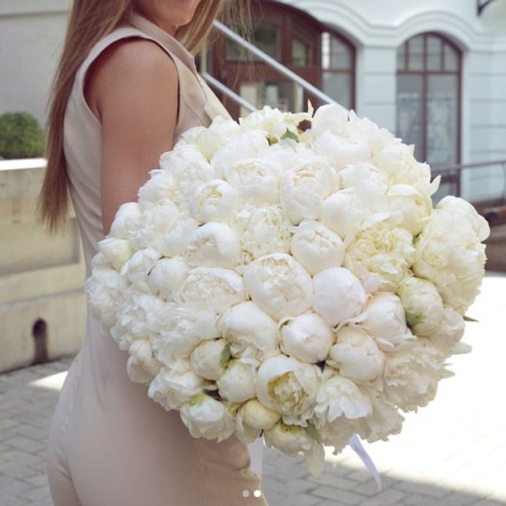 51 белый пион в Казани