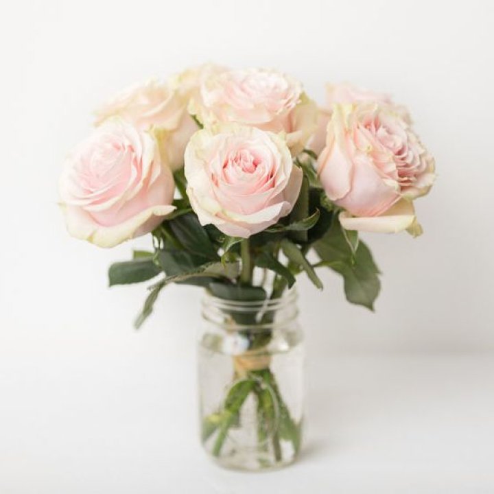 7 кремовых роз в Казани