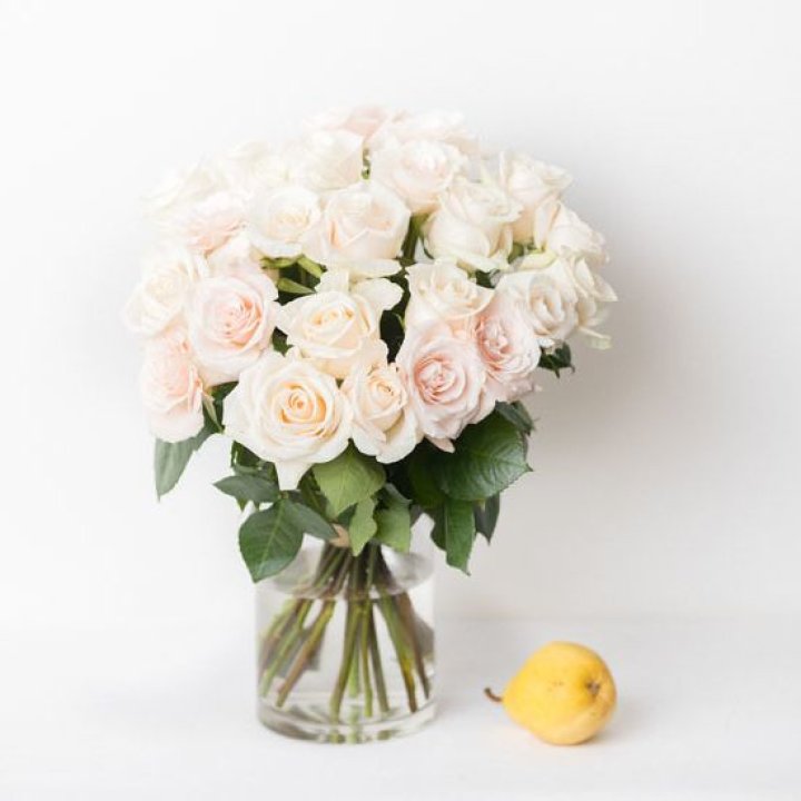 25 кремовых роз в Казани