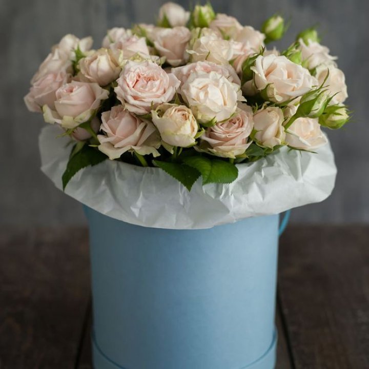 Бокс с бомбастиком в Казани