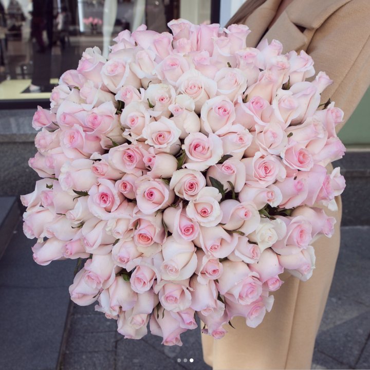 Розы "Пинк бум" в Казани