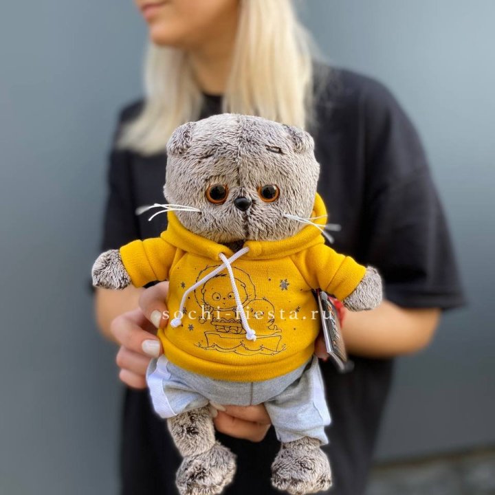 Кот Басик в худи в Казани