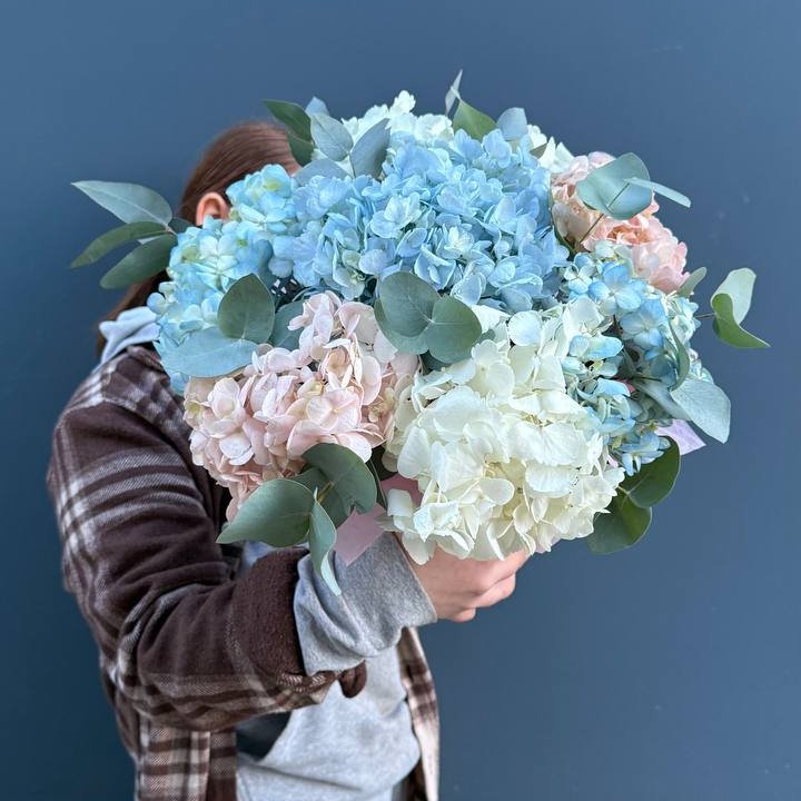 Гортензии в коробочке в Казани