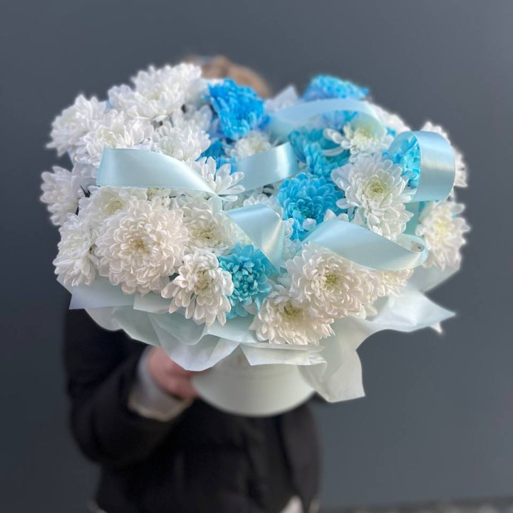 Хризнтемы в боксе в Казани