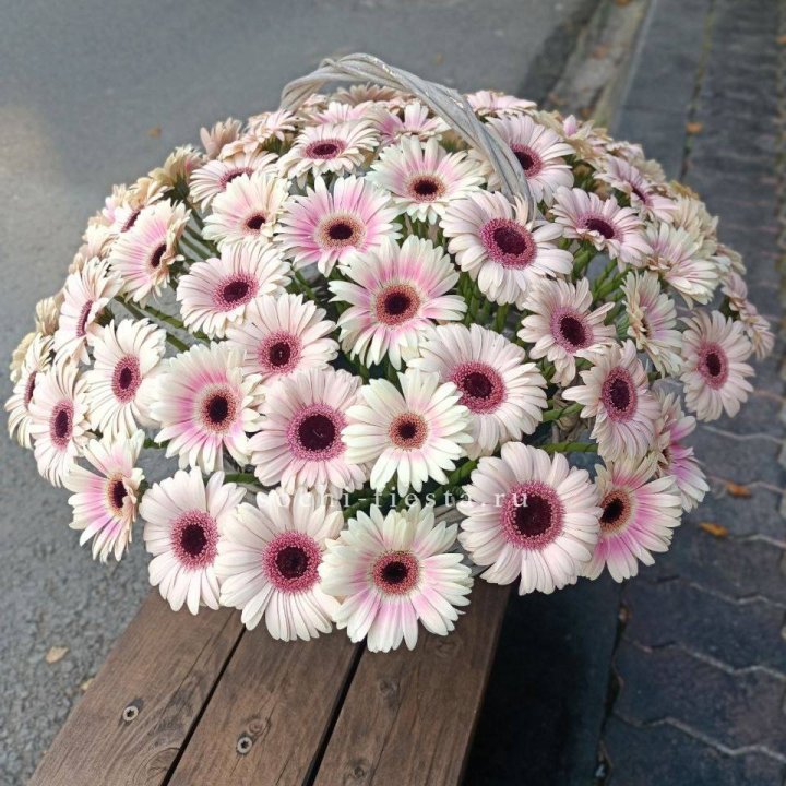 Корзина с герберами  в Казани